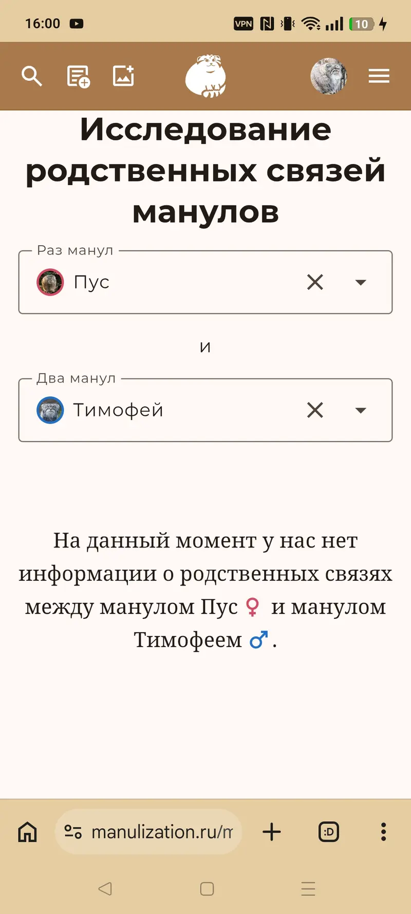 The perfect wife for Timosha