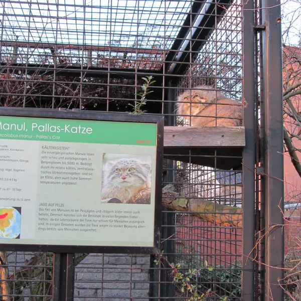 A photograph of Jonathan in Magdeburg Zoo