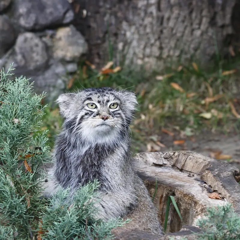 A photograph of Timofey in Moscow zoo