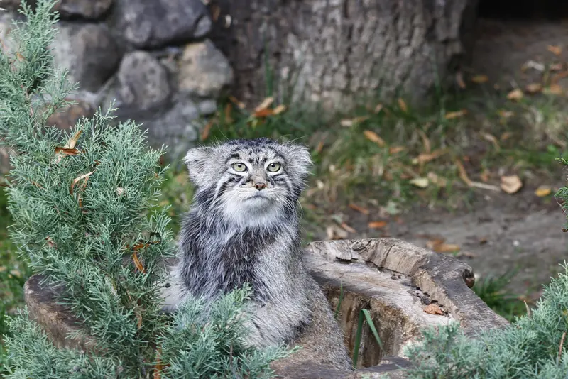 A photograph of Timofey in Moscow zoo