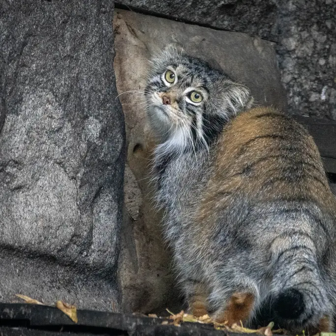 A photograph of Timofey in Moscow zoo