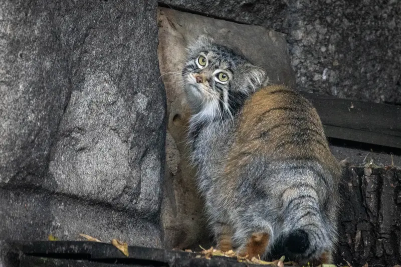 A photograph of Timofey in Moscow zoo