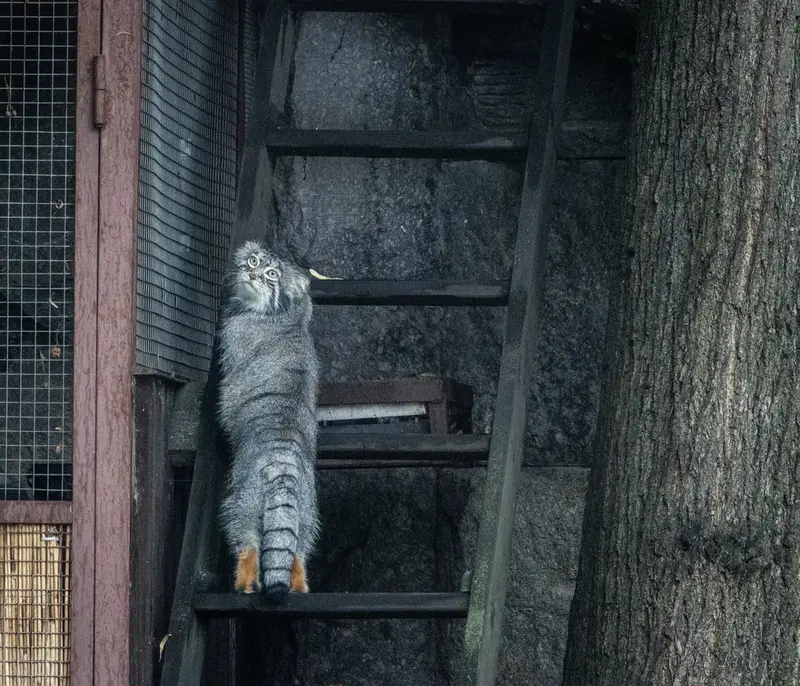 A photograph of Timofey in Moscow zoo