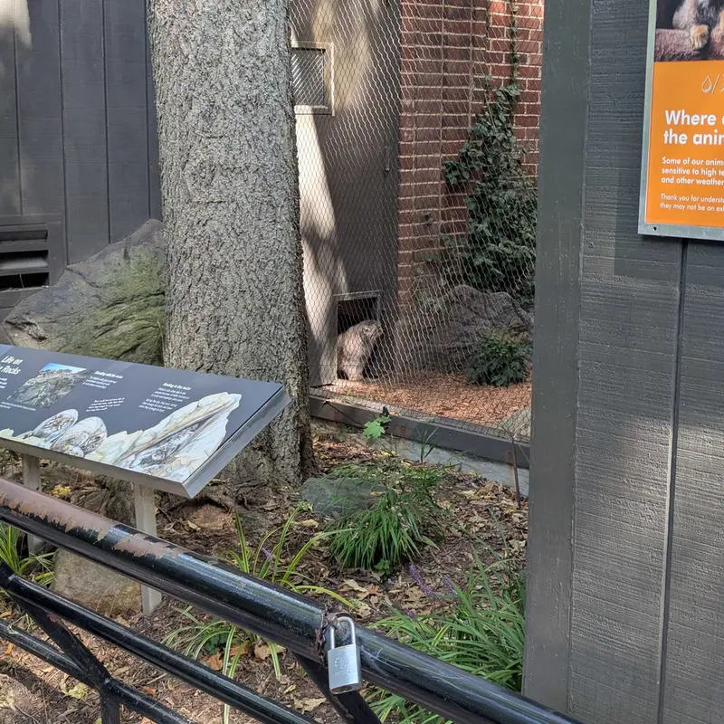 A photograph of Sarnai in Prospect Park Zoo