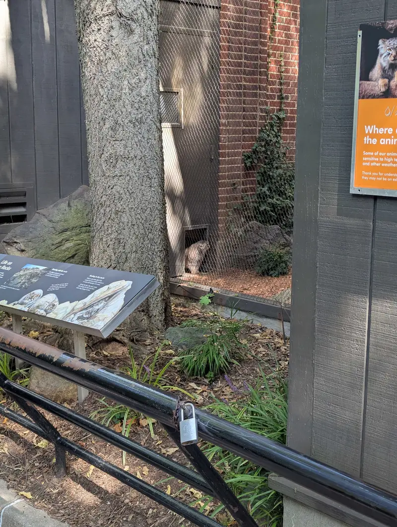 A photograph of Sarnai in Prospect Park Zoo