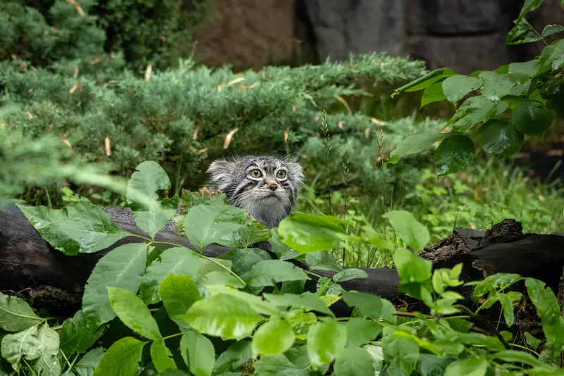 A photograph of Timofey in Moscow zoo