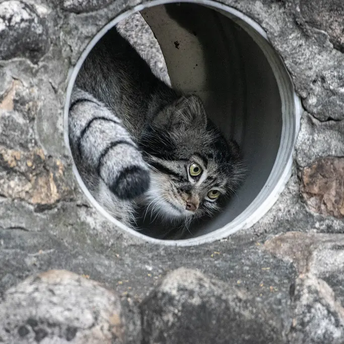 A photograph of Timofey in Moscow zoo