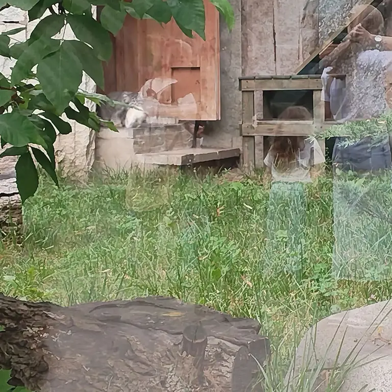 A photograph of Timofey in Moscow zoo