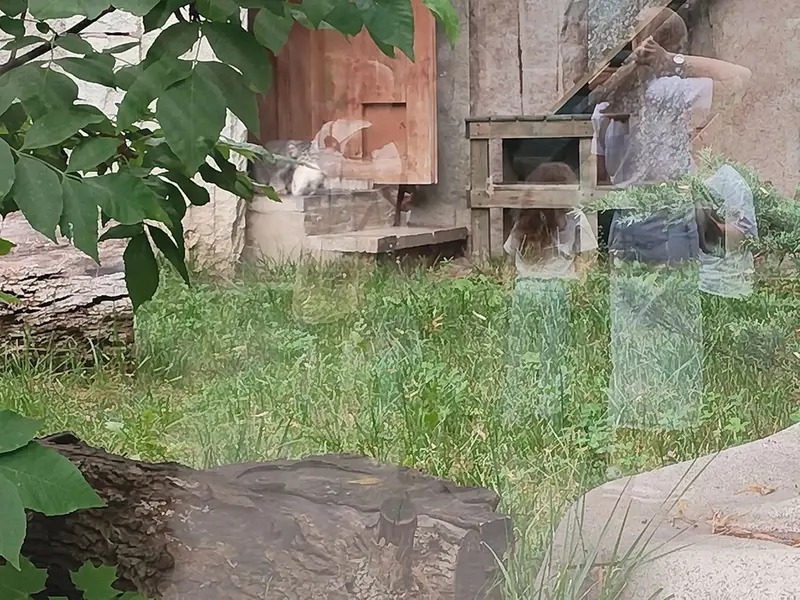 A photograph of Timofey in Moscow zoo