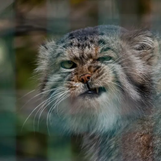 A photograph of Jonathan in Magdeburg Zoo