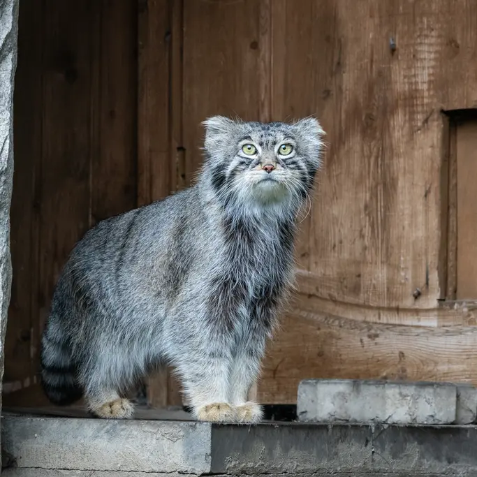 A photograph of Timofey in Moscow zoo