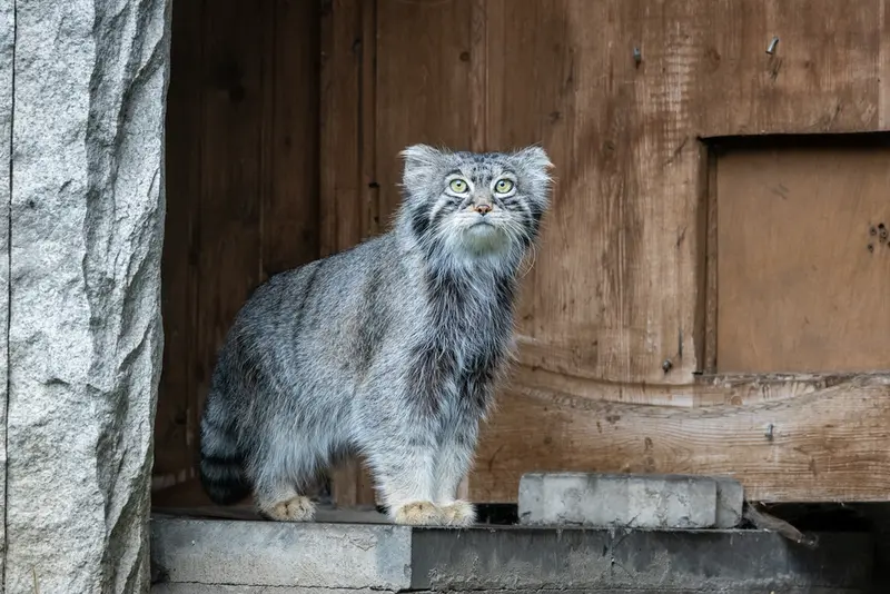 A photograph of Timofey in Moscow zoo