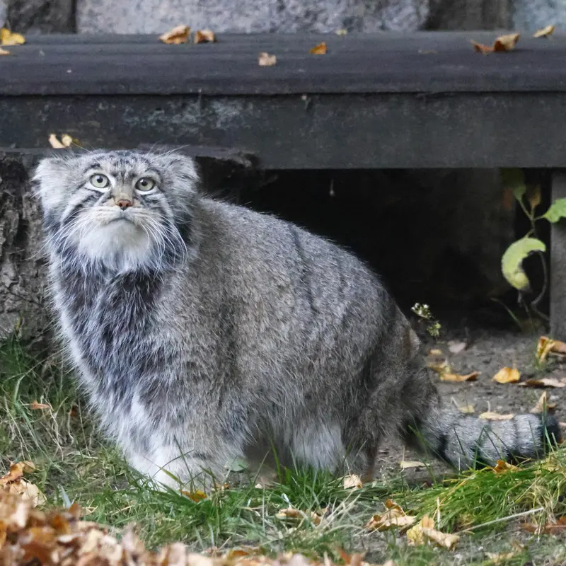 A photograph of Timofey in Moscow zoo