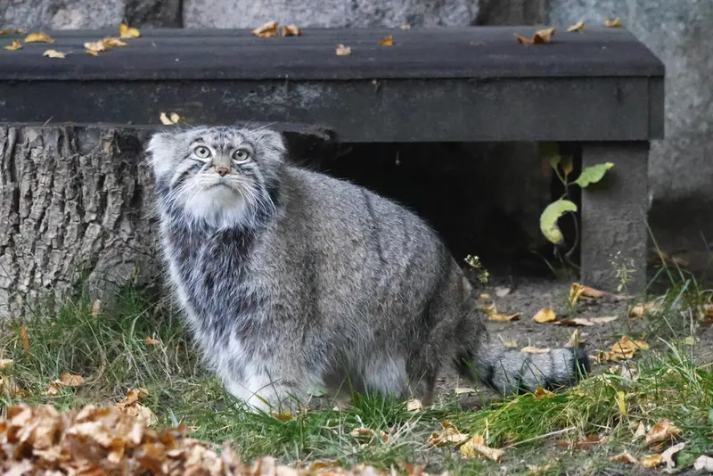 A photograph of Timofey in Moscow zoo