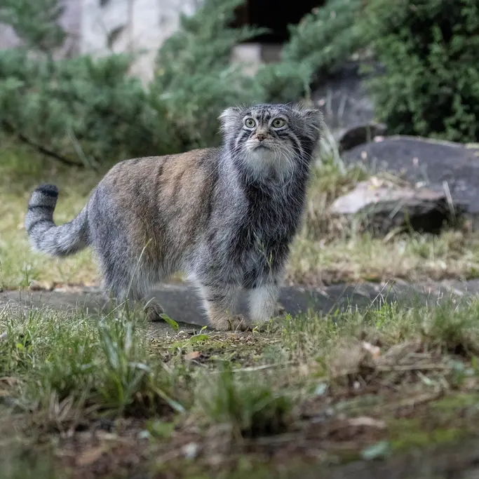A photograph of Timofey in Moscow zoo