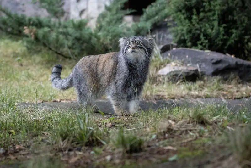 A photograph of Timofey in Moscow zoo