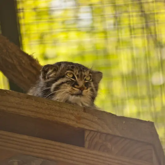 A photograph of Karl-Heinz in Saarbrücken Zoo