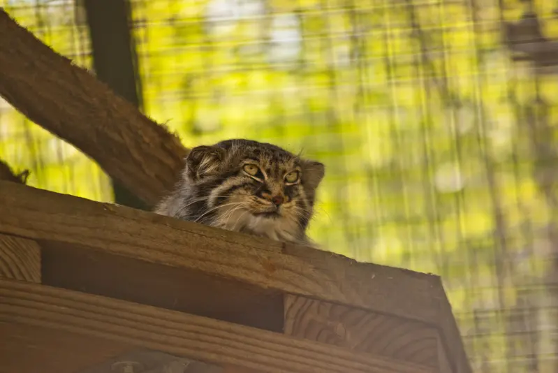 A photograph of Karl-Heinz in Saarbrücken Zoo