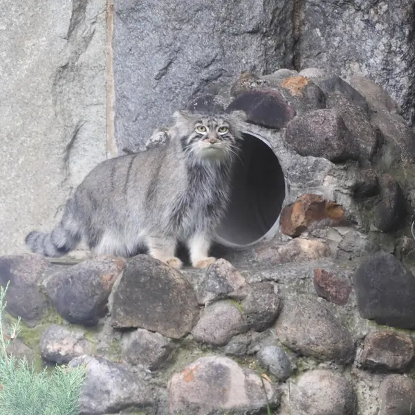 A photograph of Timofey in Moscow zoo