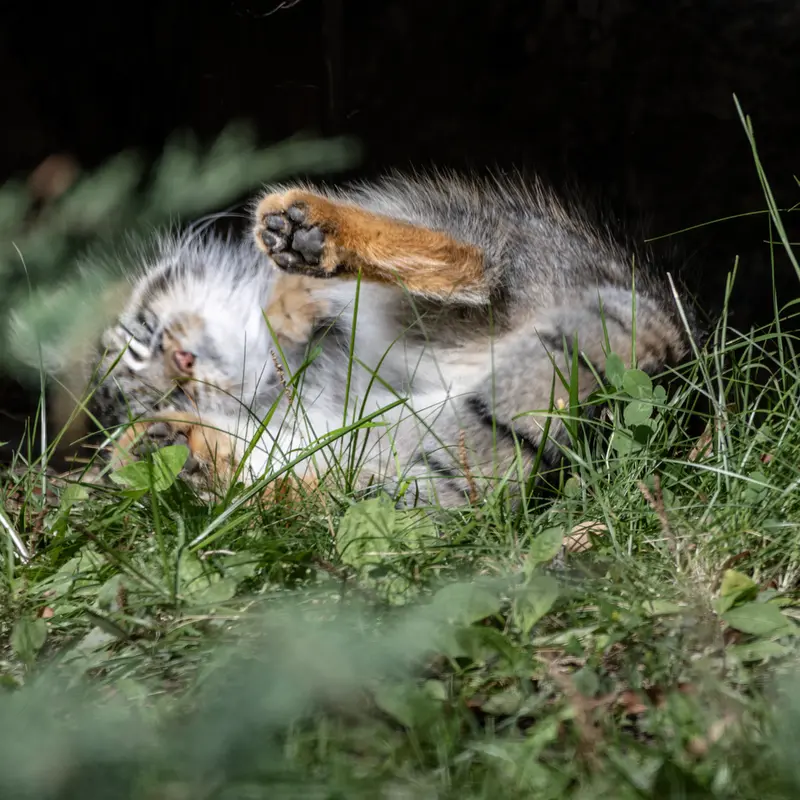A photograph of Timofey in Moscow zoo