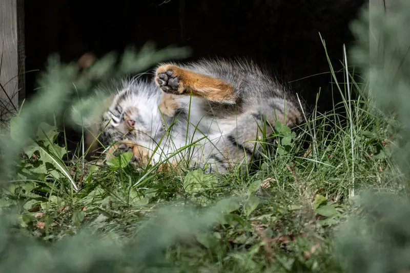 A photograph of Timofey in Moscow zoo