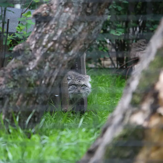 A photograph of Jessie in Warsaw Zoo