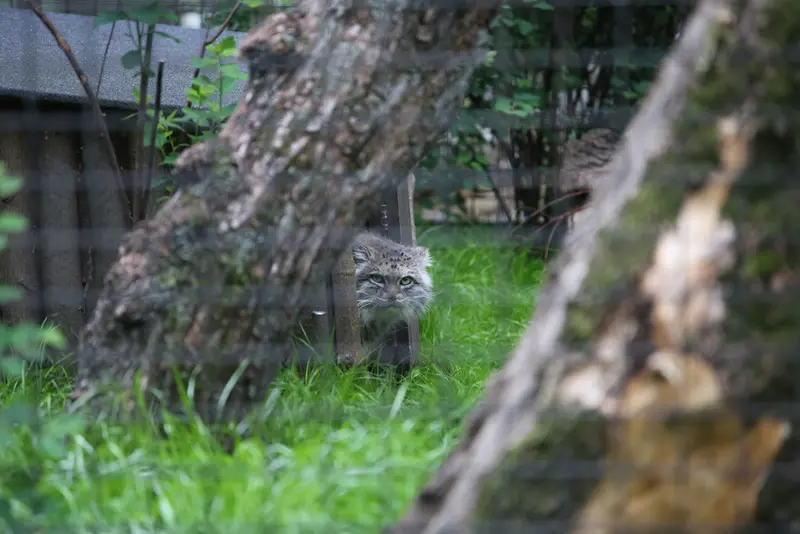 A photograph of Jessie in Warsaw Zoo