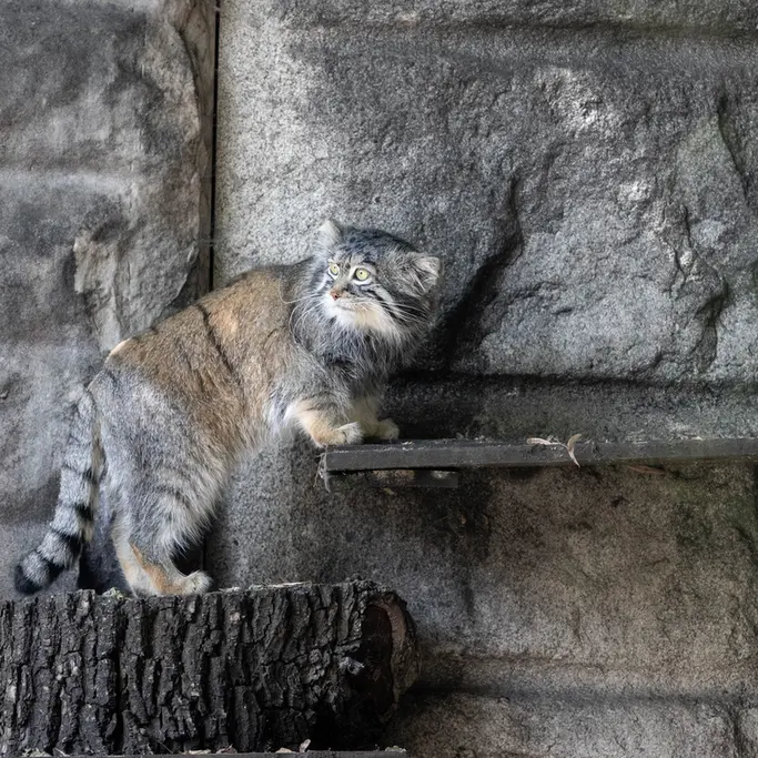 A photograph of Timofey in Moscow zoo