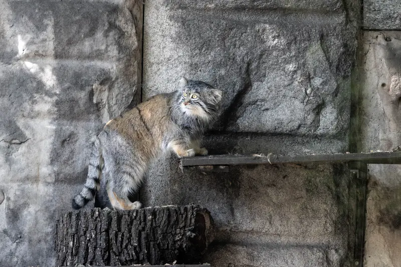 A photograph of Timofey in Moscow zoo