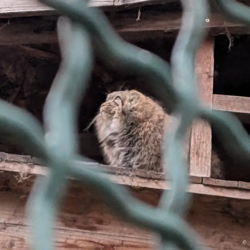 A photograph of Lucy in Budapest Zoo &amp; Botanical Garden
