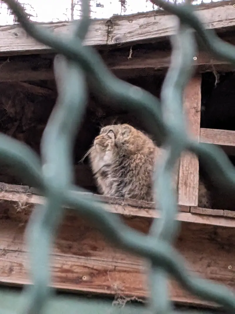 A photograph of Lucy in Budapest Zoo &amp; Botanical Garden