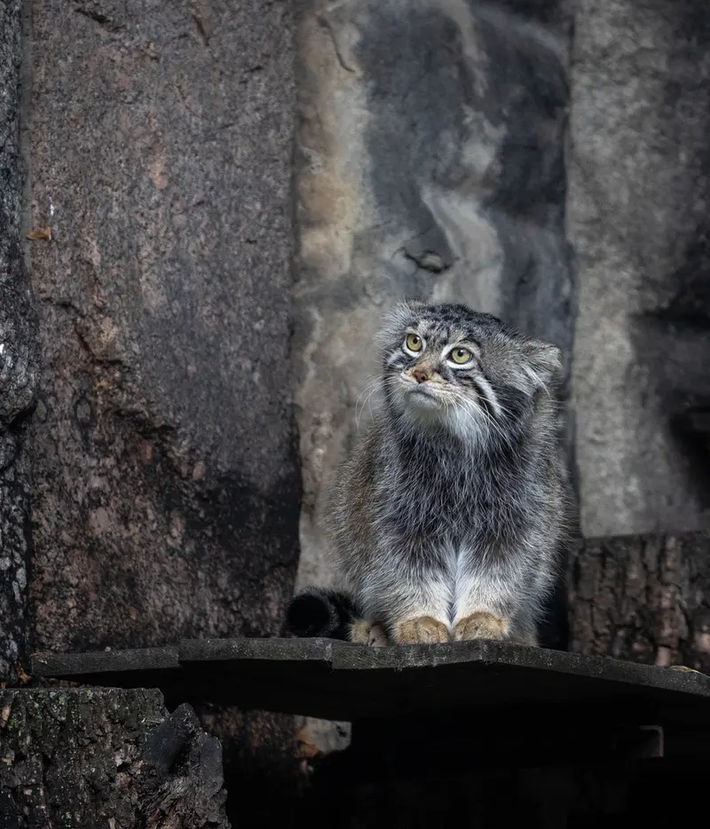 A photograph of Timofey in Moscow zoo
