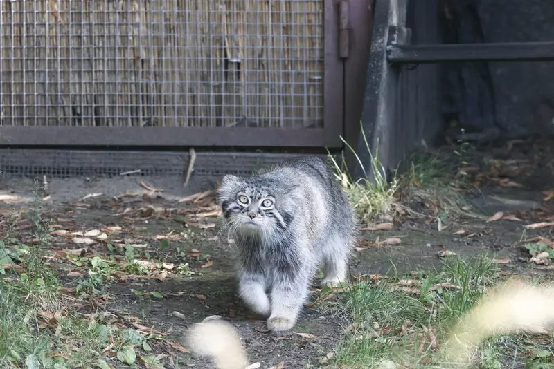 A photograph of Timofey in Moscow zoo