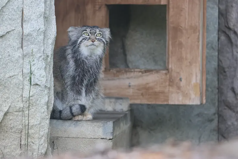 A photograph of Timofey in Moscow zoo