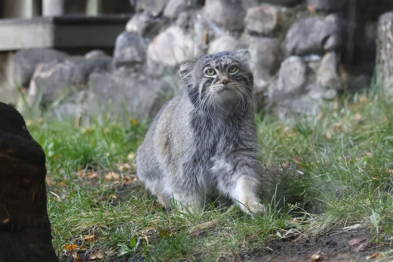 A photograph of Timofey in Moscow zoo