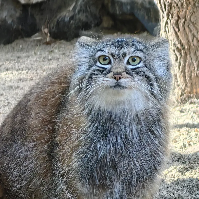A photograph of Anya in Novosibirsk Zoo