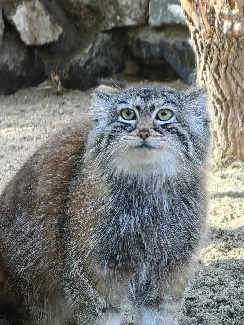 A photograph of Anya in Novosibirsk Zoo