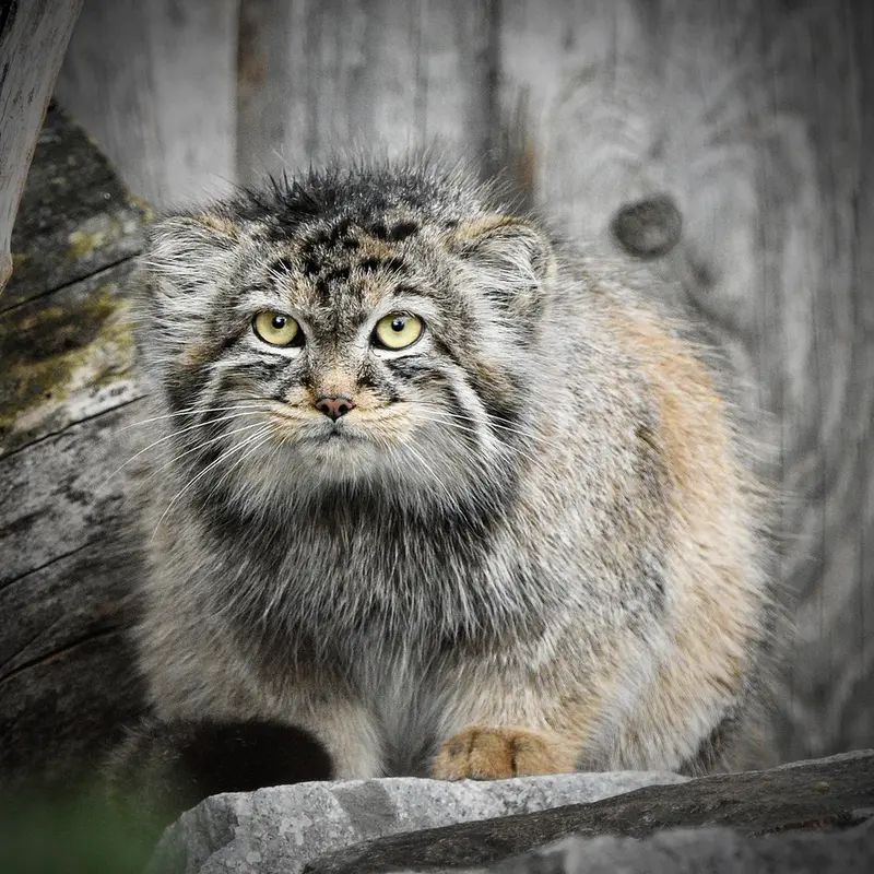 A photograph of Manuela in Tierpark Berlin