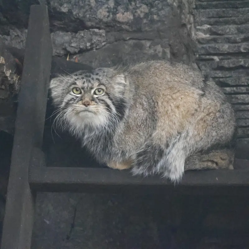 A photograph of Timofey in Moscow zoo
