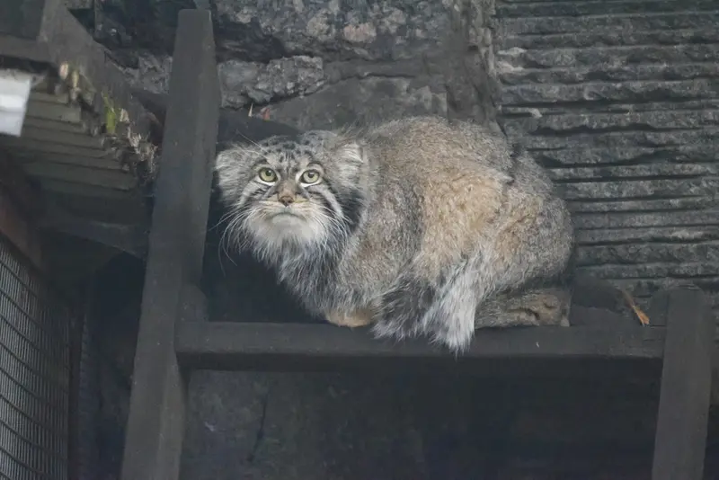 A photograph of Timofey in Moscow zoo