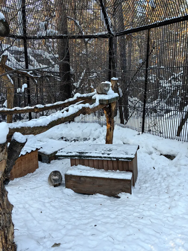 A photograph of Son of Eve 2024 Ⅱ and Son of  Eve 2024 Ⅳ in Novosibirsk Zoo