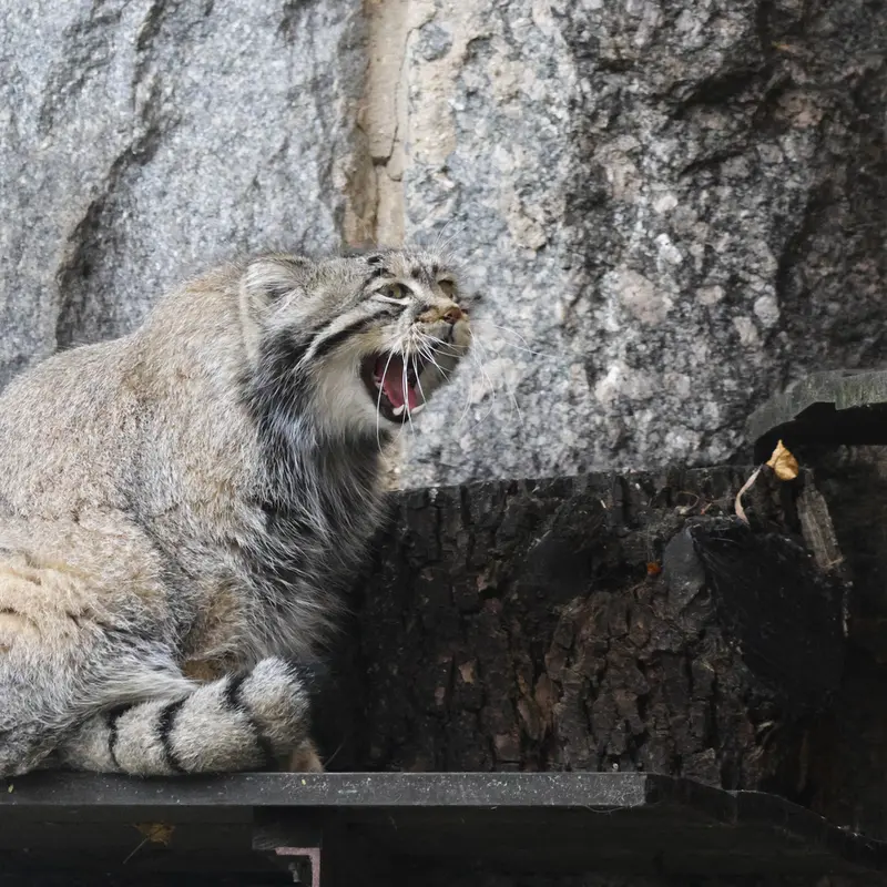 A photograph of Timofey in Moscow zoo
