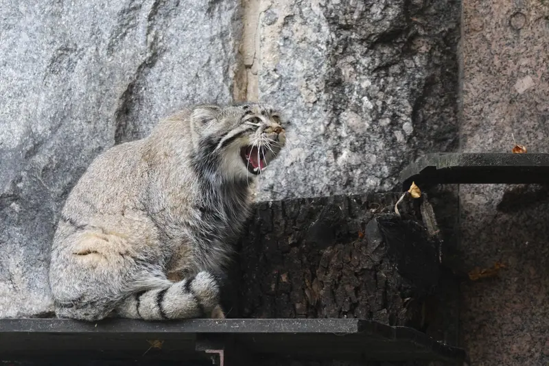 A photograph of Timofey in Moscow zoo