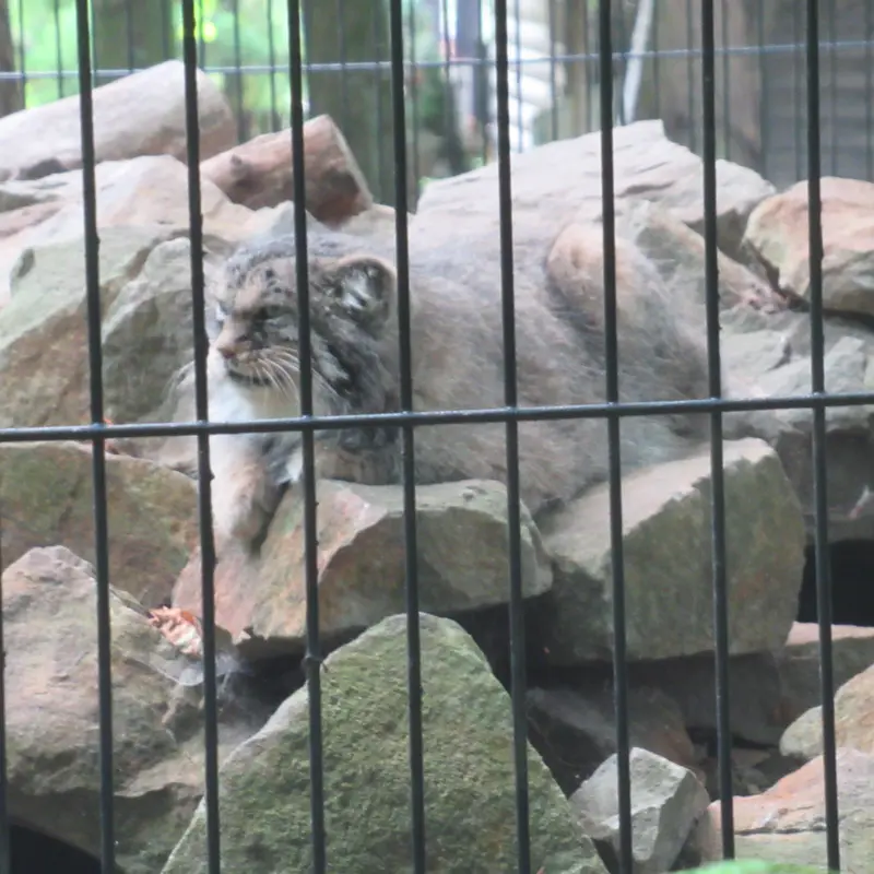 A photograph of Manuel in Kraków Zoo