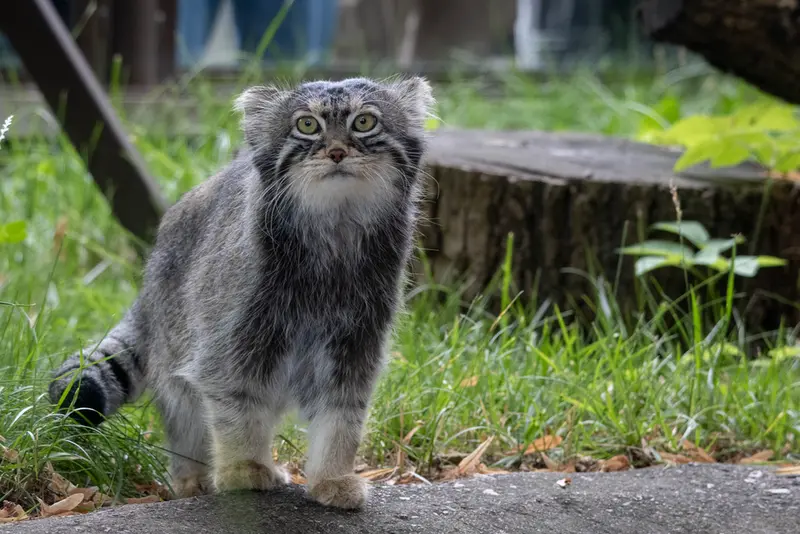 A photograph of Timofey in Moscow zoo