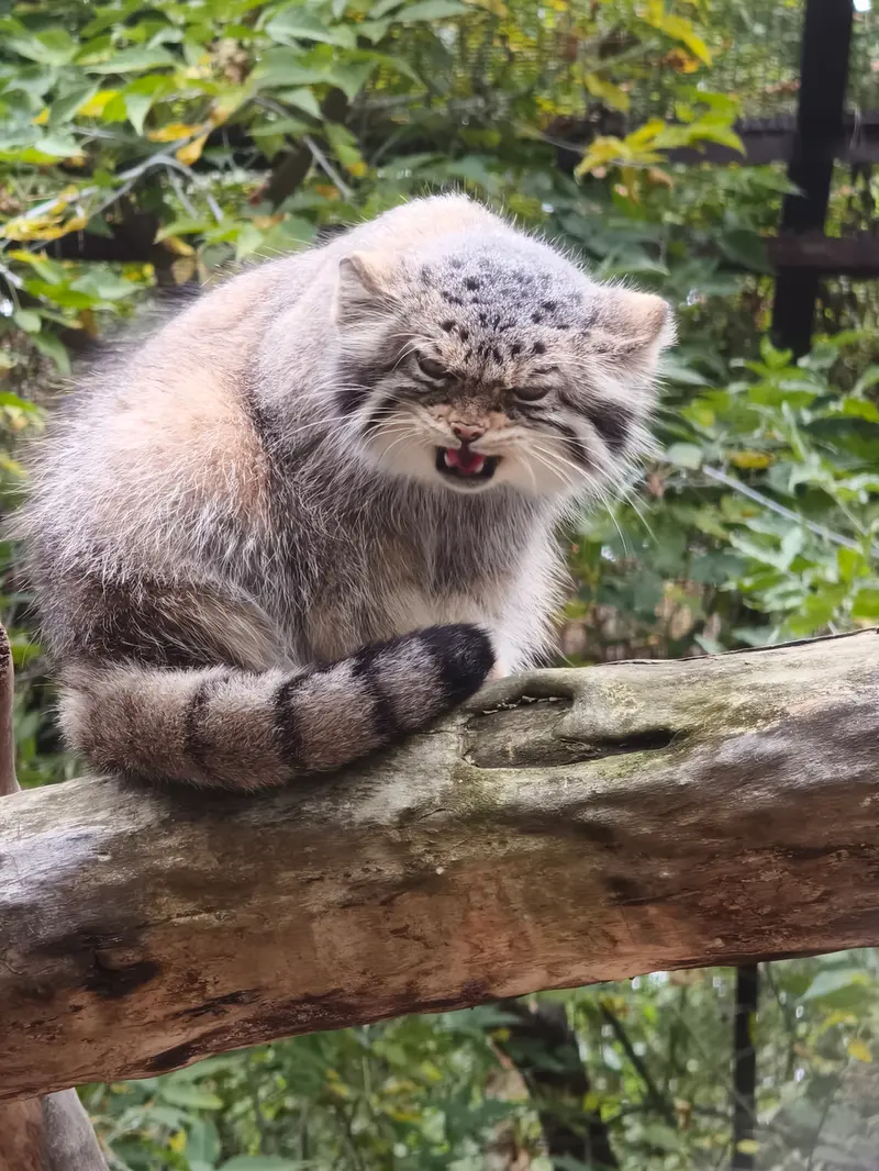 A photograph of Eve in Novosibirsk Zoo