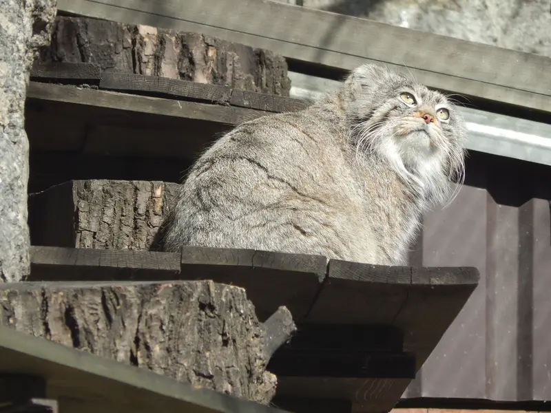 A photograph of Timofey in Moscow zoo