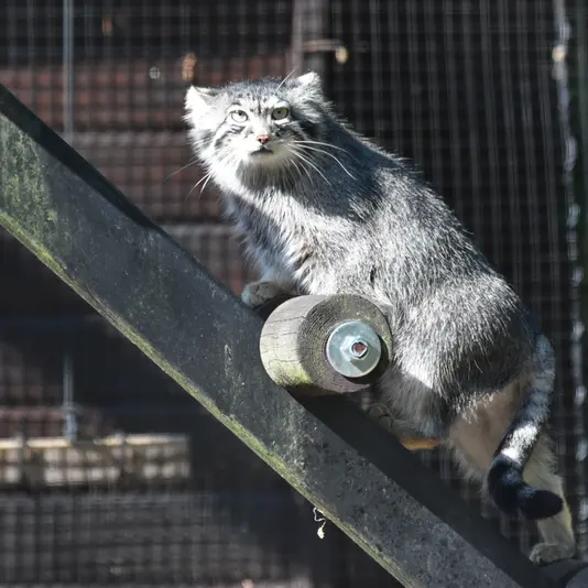 A photograph of Ula in Gdansk Zoo