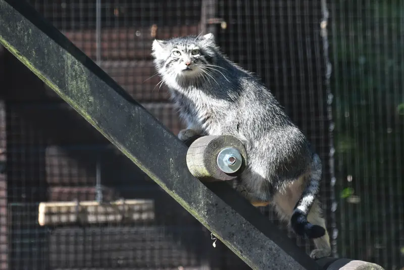 A photograph of Ula in Gdansk Zoo