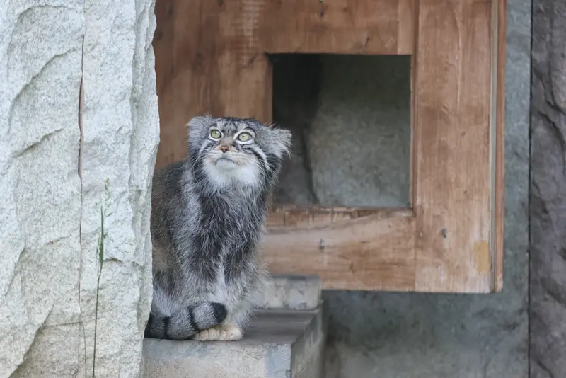 A photograph of Timofey in Moscow zoo